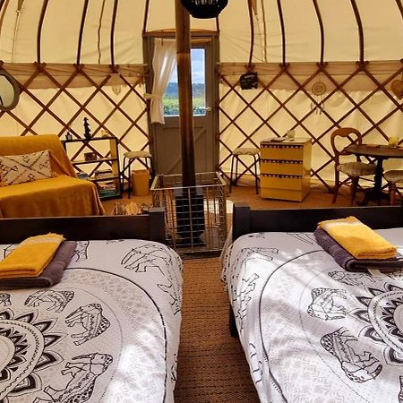 Bronfelen Yurt Hotel Cynghordy Eksteriør billede