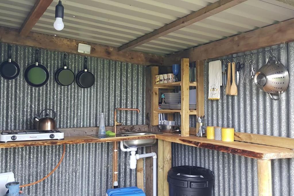Bronfelen Yurt Hotel Cynghordy Eksteriør billede