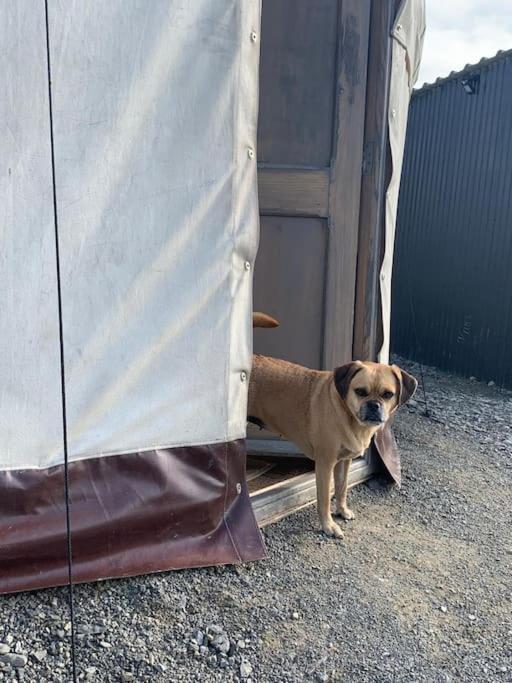 Bronfelen Yurt Hotel Cynghordy Eksteriør billede